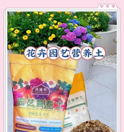营养土种植花卉的正确方法是什么？