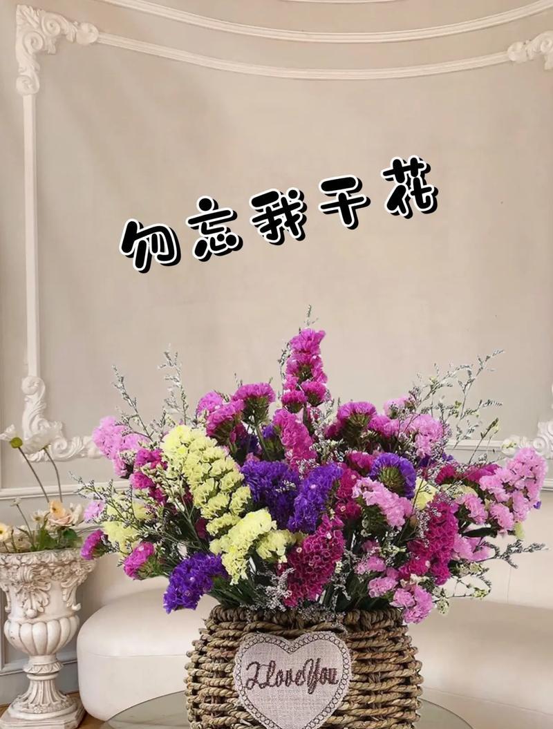 勿忘我怎么繁殖？勿忘我繁殖的正确方法是什么？