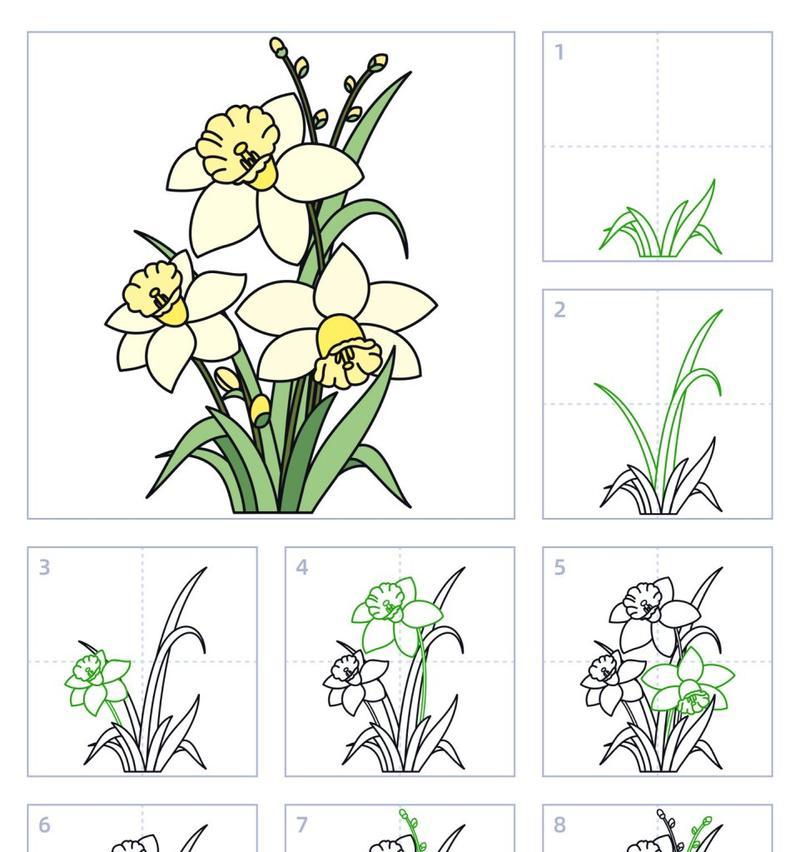 水仙花属于哪个科？