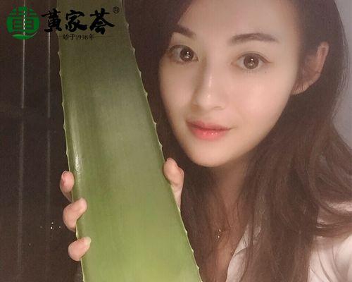 食用芦荟有哪些品种？如何挑选适合食用的芦荟品种？