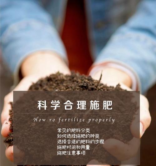 制作花肥的步骤和注意事项有哪些？