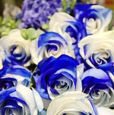 国外流行的鲜花品种有哪些？它们的特色是什么？