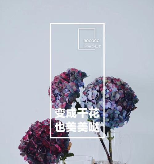 鲜花瓣变干花的步骤是什么？