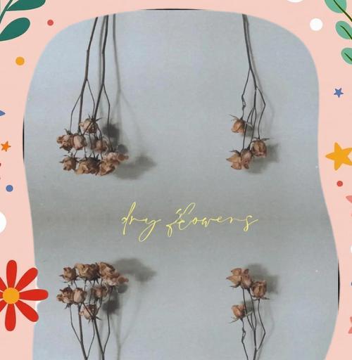 鲜花瓣变干花的步骤是什么？