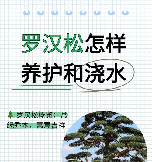 罗汉松有哪些新品种？它们的市场价值如何？