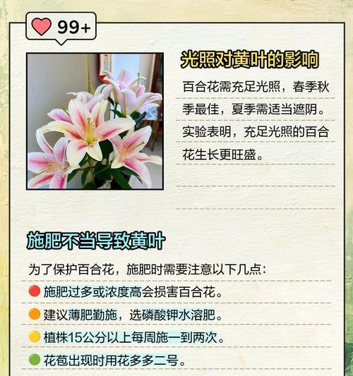 给百合施肥的正确方法是什么？
