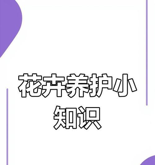 怎么室内养花？室内花卉养护的五个小技巧？