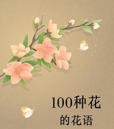 吊萝养殖的正确方法是什么？
