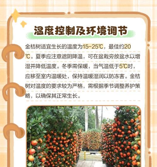 金桔树的修剪和养护方法是什么？