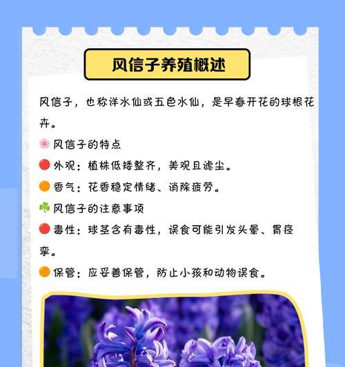 风信子培育的正确方法是什么？