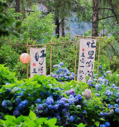 昆明市的市花是什么？昆明市花的文化意义是什么？