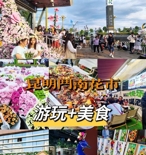 昆明市的市花是什么？昆明市花的文化意义是什么？