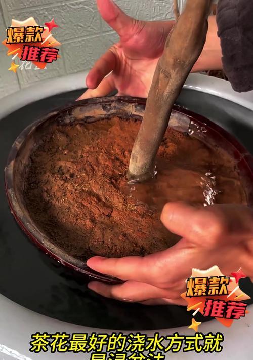 怎么浸盆？浸盆的正确方法和注意事项有哪些？