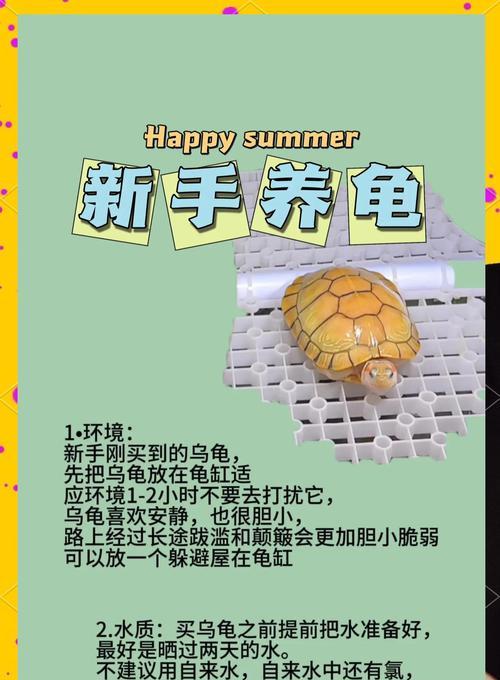 龟甲龙繁殖步骤详解？