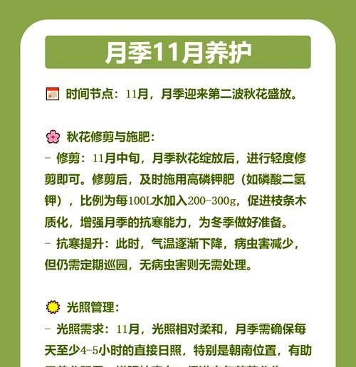 月季冬季养护的技巧和常见问题是什么？