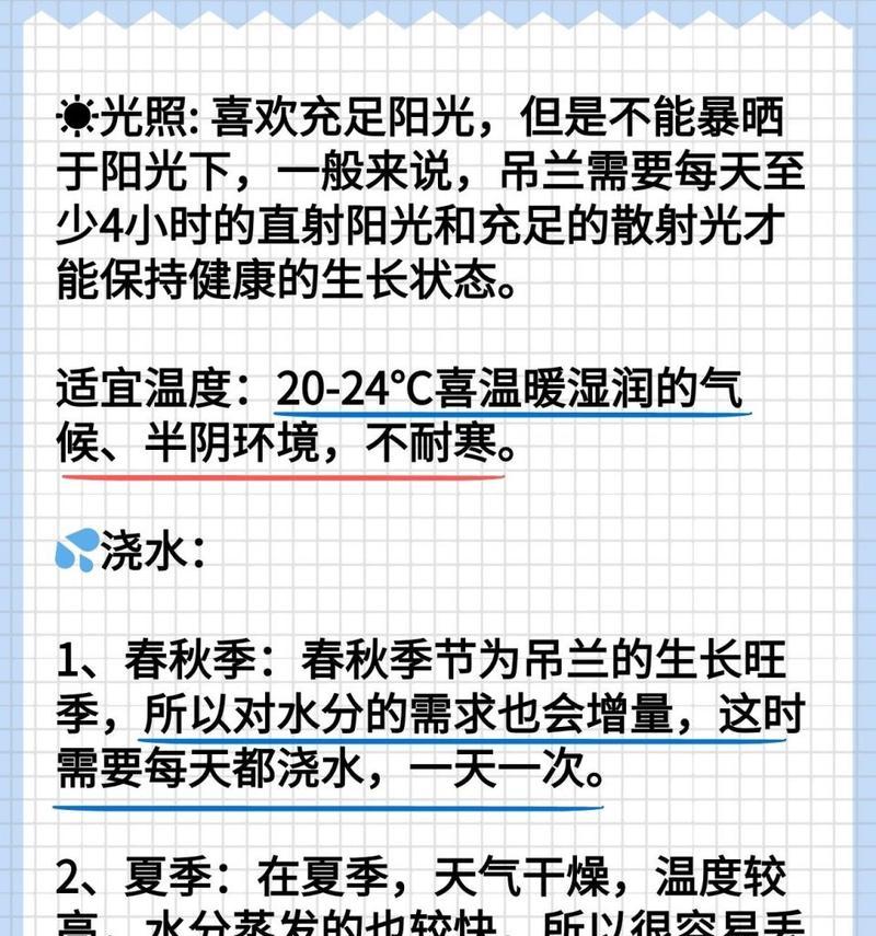 吊兰冬季养护要点是什么？怎样安全过冬？