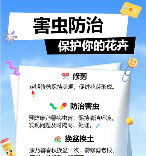 康乃馨的养护技巧是什么？康乃馨养殖中常见问题解答？