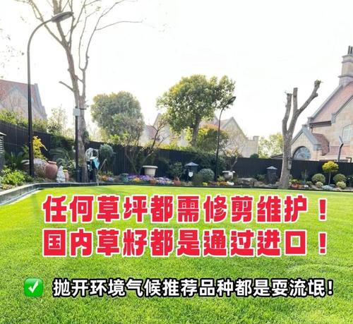草坪修剪质量提升的方法和常见问题是什么？