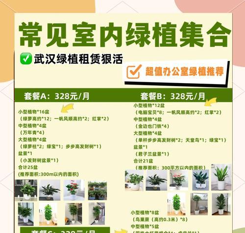 盆景养护的正确方法和注意事项？