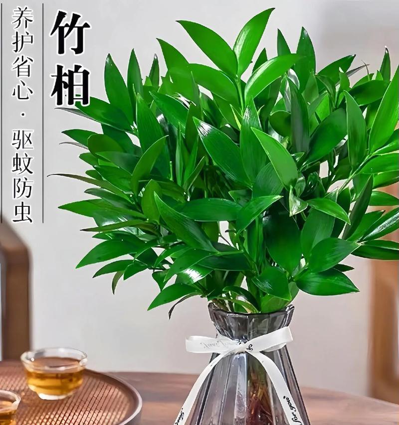 盆栽植物种植的基本步骤是什么？如何选择适合的盆栽植物？