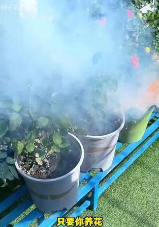 花生植株生虫了怎么处理？
