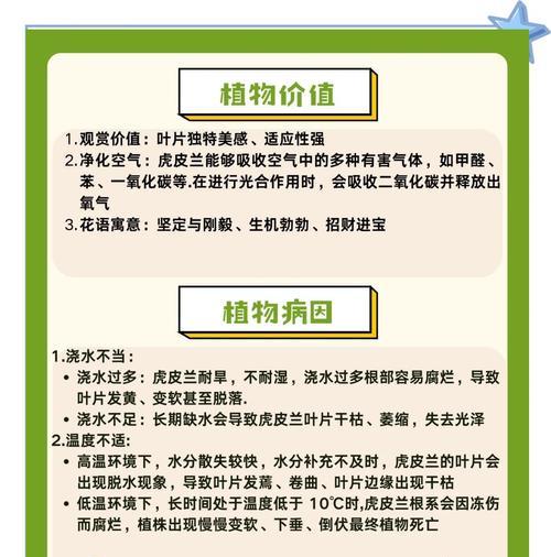虎皮兰叶片发黄如何处理？虎皮兰发黄的解决方法有哪些？