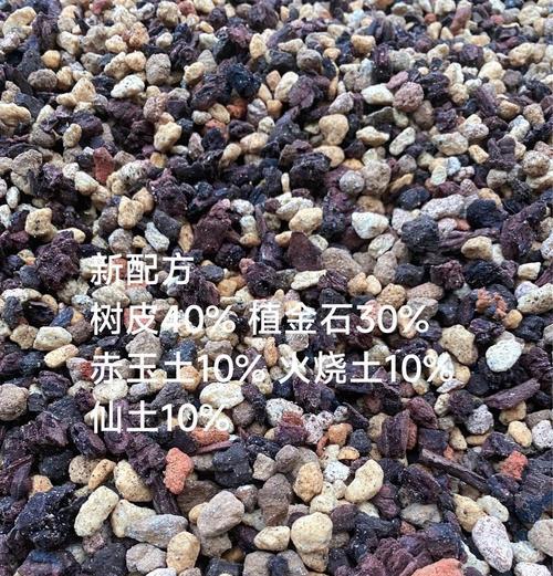 兰草种植应该使用哪种土壤？