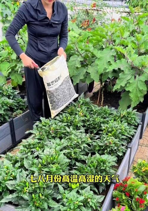 草木灰浇花的好处是什么？草木灰浇花的正确方法？