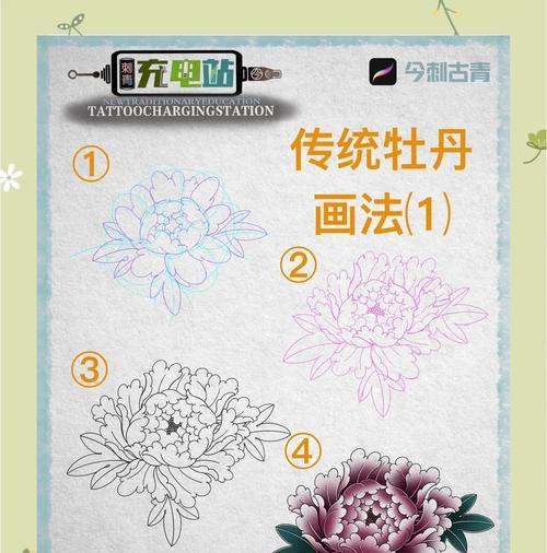 牡丹的繁殖方法和步骤是什么？