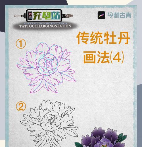牡丹的繁殖方法和步骤是什么？