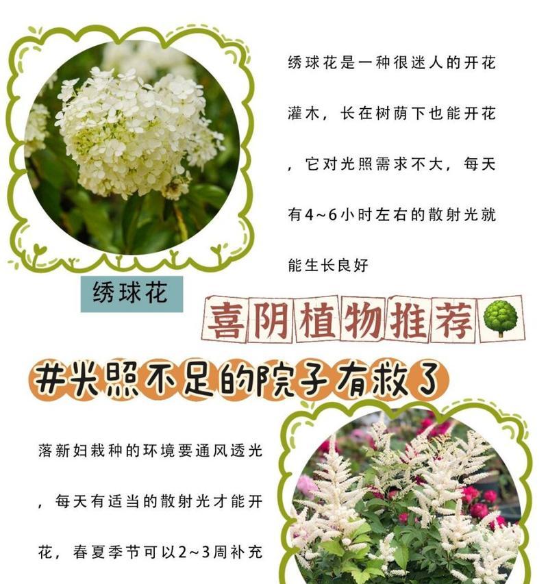 植物光照不足如何解决？