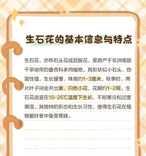 养生石花的正确方法是什么？