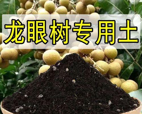 龙眼树的种植方法有哪些？
