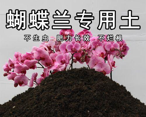 蝴蝶兰土壤配制方法是什么？如何配制适合的土壤？