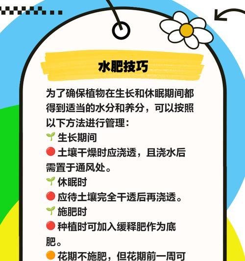 马蹄莲冬季保养的正确方法？