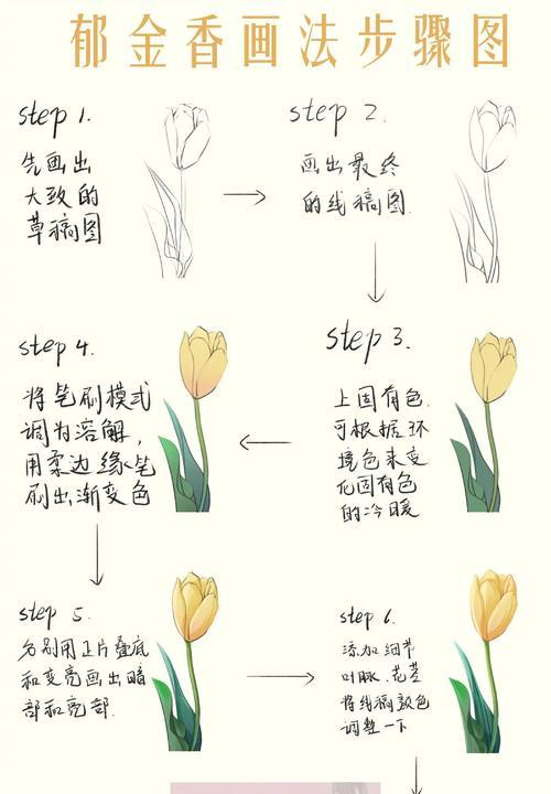 郁金香如何种植？郁金香的种植步骤是什么？