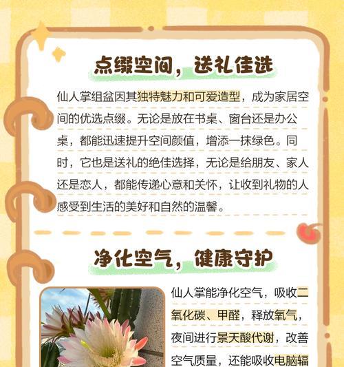 仙人掌如何养？仙人掌的养护技巧和常见问题解答？
