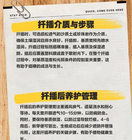 腊梅繁殖的正确方法和步骤是什么？