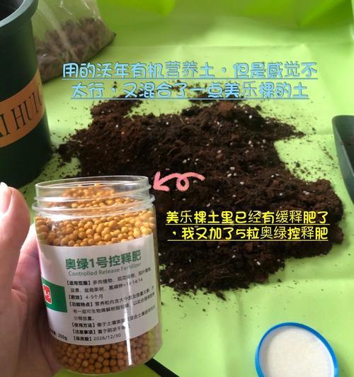 朱蕉水培的方法是什么？