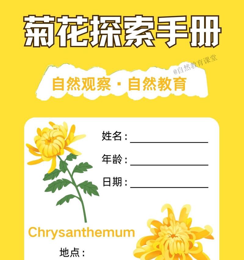 欧洲菊的养殖要点是什么？