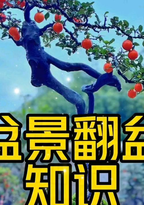 盆景怎么换盆？盆景换盆的正确步骤是什么？