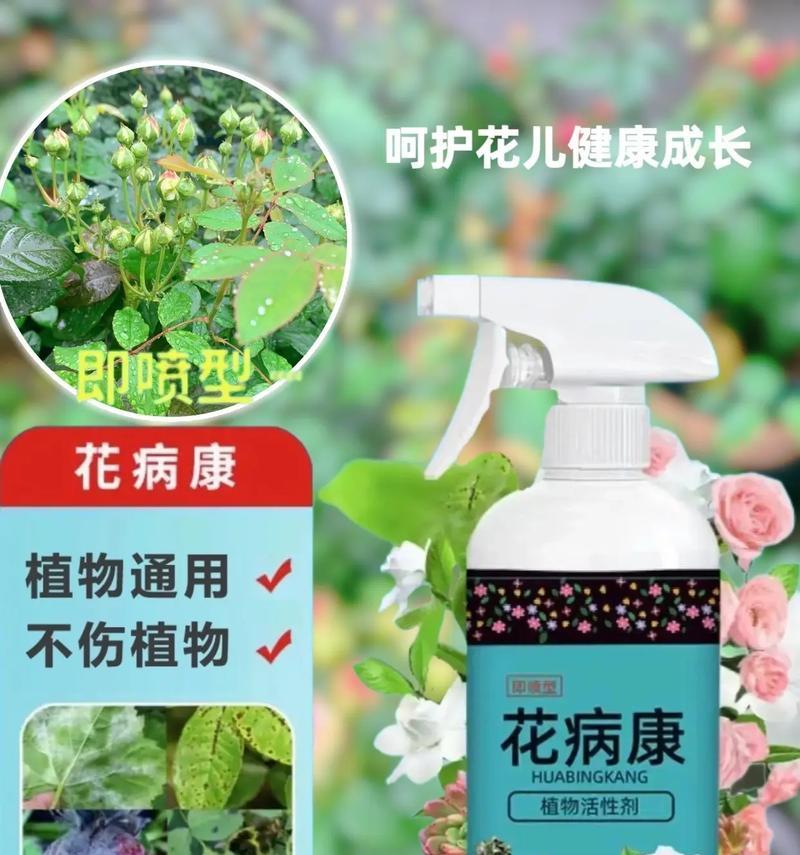 花卉生病了应该采取哪些措施？