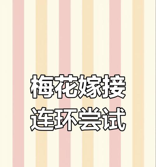 梅花嫁接的最佳时期和步骤是什么？
