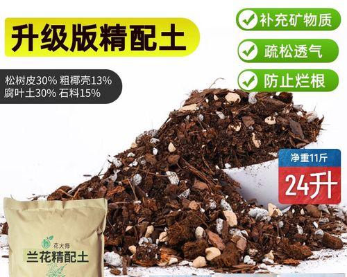 君子兰种植适合用什么土壤？土壤选择对君子兰的影响如何？