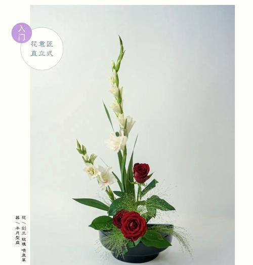 剑兰浇水的技巧和频率是多少？