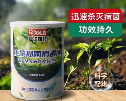 盆栽土壤发霉了该如何处理？