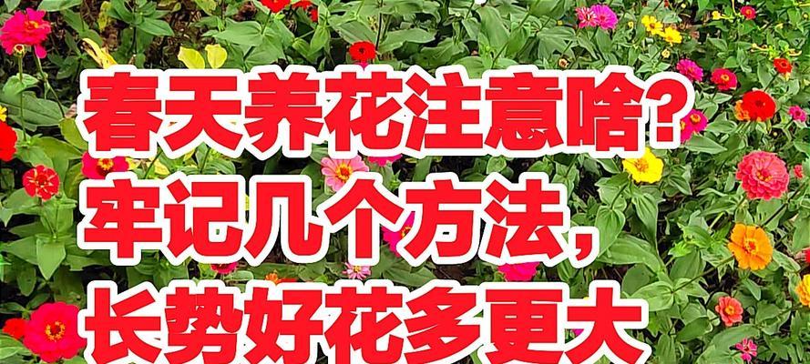 春季植物养护需要注意哪些问题？