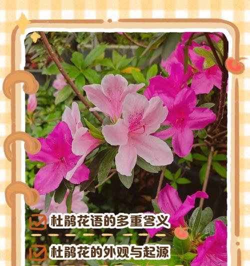 旧土复壮的方法和步骤是什么？