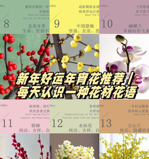 旧土复壮的方法和步骤是什么？