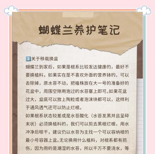 蝴蝶兰的养护方法和常见问题解答？